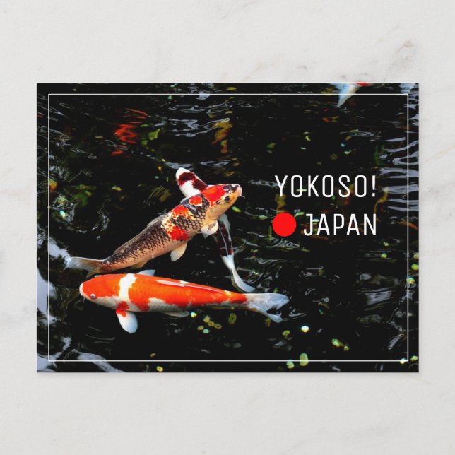 Japanischer Koi-Fisch Nishikigoi-Postüberquerung Postkarte (Vorderseite)