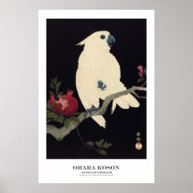 Japanischer Kunstdruck – Ohara Koson – Kakadu