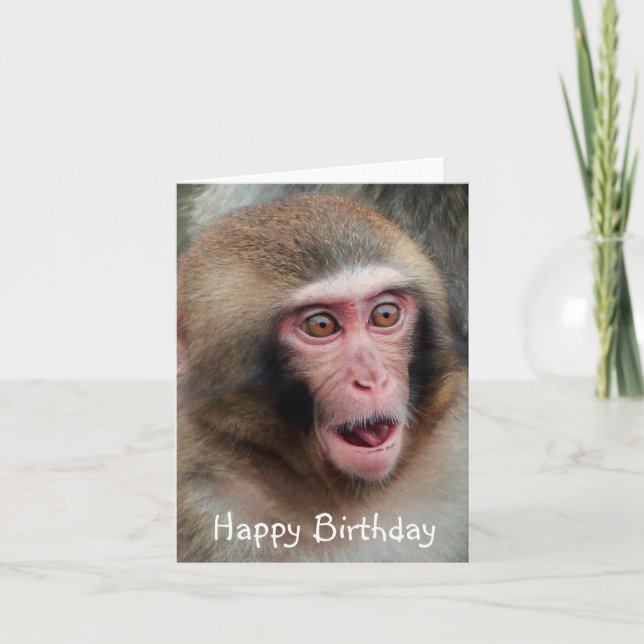 Japanischer Macaque-Affengeburtstag-Karte Karte (Vorderseite)