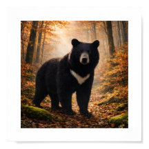 Japanischer Mondbär im Herbstwald – Kunstdruck