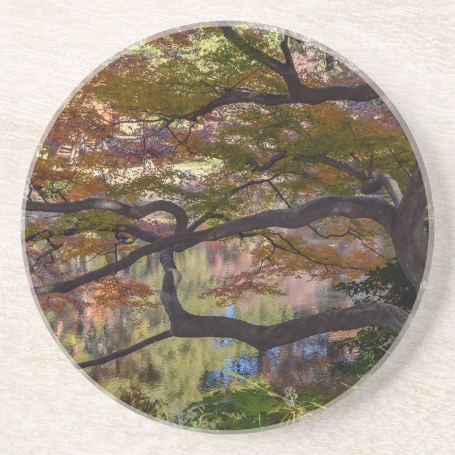 japanischer Park Untersetzer (Vorne)