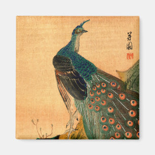 Japanischer Pfau Nr.2 Magnet