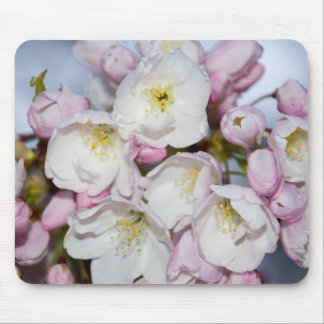 Japanischer Pflaummousepad Mousepad