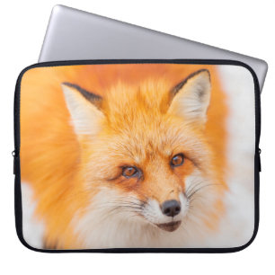 Japanischer Roter Fuchs, der ruht, schläft und spi Laptopschutzhülle