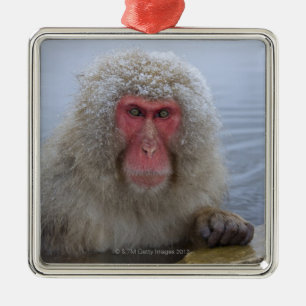 Japanischer Schnee-Affe in der Thermalquelle Ornament Aus Metall