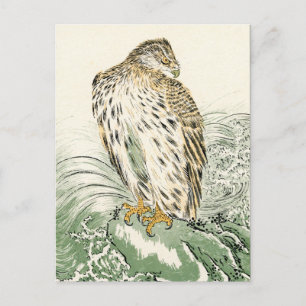 Japanischer Seeadler - Fischadler Postkarte