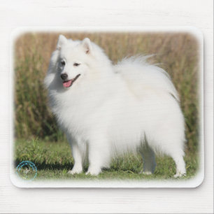 Japanischer Spitz 9Y576D-261 Mousepad