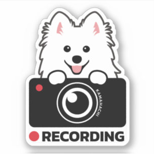 Japanischer Spitz Dashcam Warning Vinyl Aufkleber