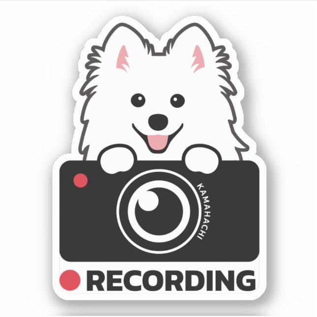 Japanischer Spitz Dashcam Warning Vinyl Aufkleber (Vorderseite)