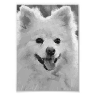 Japanischer Spitz Fotodruck