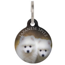 Japanischer Spitz