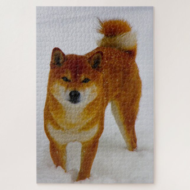 Japanischer Spitz Hund. (Vertikal)