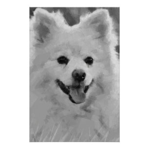 Japanischer Spitz Poster