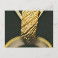 Japanischer Sushi-Liebhaber