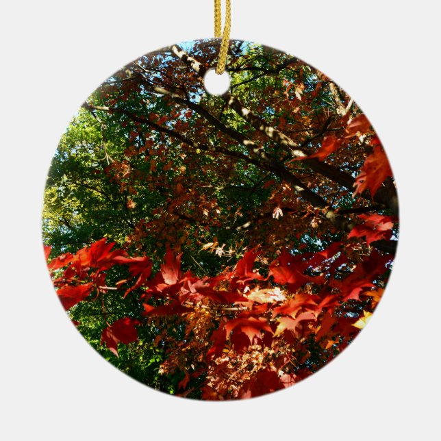 Japanisches Ahorn, Blätter für Herbst Keramik Ornament (Vorne)