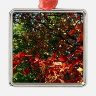 Japanisches Ahorn, Blätter für Herbst Ornament Aus Metall