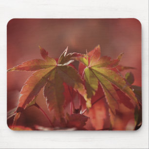 Japanisches Ahorn Verlasse Vintagen Stil Mousepad