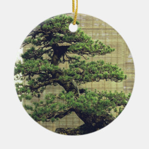 Japanisches Foto White Pine Bonsai Tree Keramik Ornament