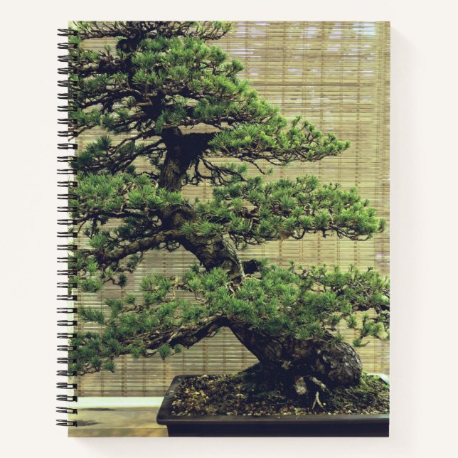 Japanisches Foto White Pine Bonsai Tree Notizbuch (Vorderseite)