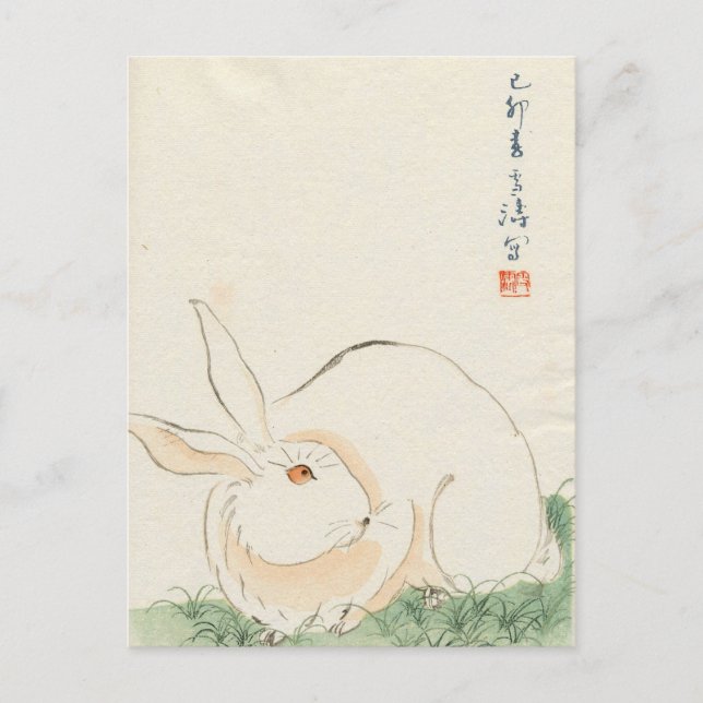 Japanisches Kaninchen Postkarte (Vorderseite)