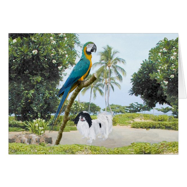 Japanisches Kino und Macaw (Vorderseite (Horizontal))
