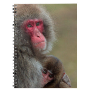 Japanisches Makaque-Affen-Notebook Notizblock