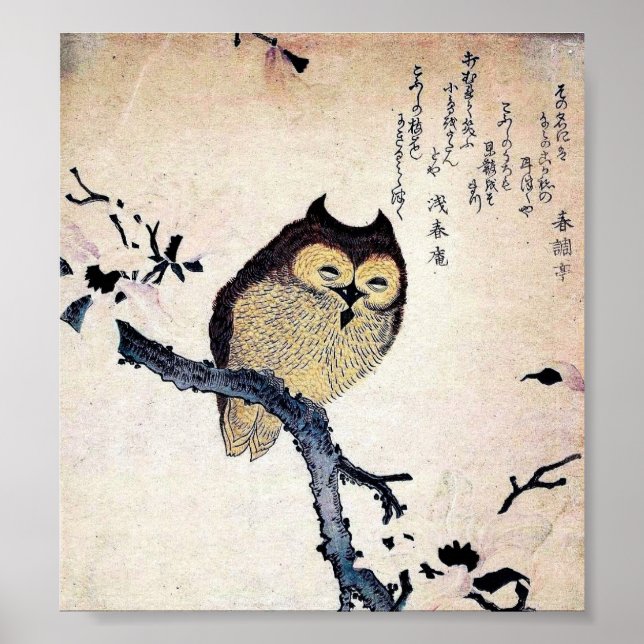 Japanisches Owl Print Poster (Vorne)
