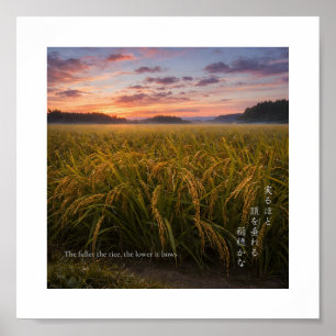 Japanisches Reisfeld im Sonnenaufgang – Nature Wis Poster