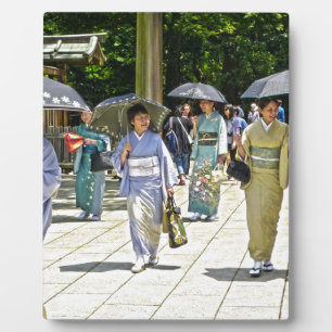Japanisches Schwertfestival Fotoplatte