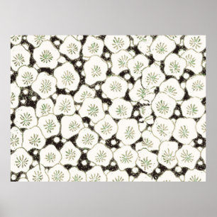 Japanisches Weißblumen-Antiquitätsdesign Poster