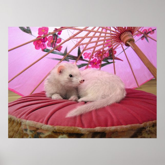 Japans Brise Poster (Vorne)