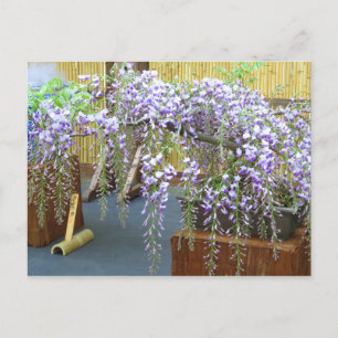 Japans Landschaft [Postkarte] Postkarte