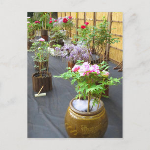 Japans Landschaft [Postkarte] Postkarte