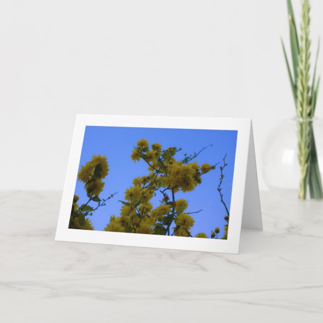 Japnonica Karte (Vorderseite)