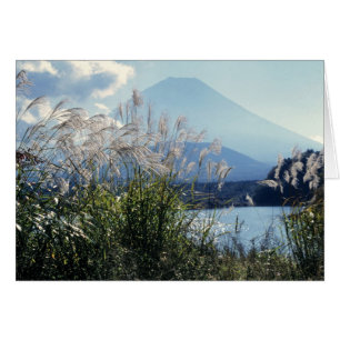 Japon, Honshu, préfecture de Yamanashi, Fuji-Hakon