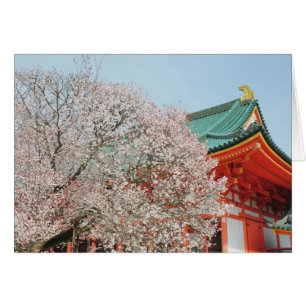 Japon, Kyoto. Fleur de cerisier de Shinto