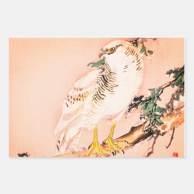 JAPONAIS FALCOLN Wrapper Papier Set (Devant)