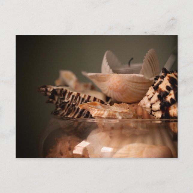 Jar der Muscheln Postkarte (Vorderseite)