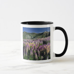 JARBIDGE WILDERNESS, NEVADA. USA. Lupine Tasse