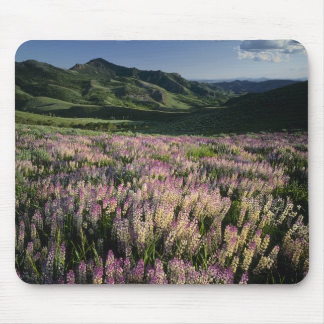 Jarbridge Wilderness and Mountains, Nevada, Spur Mousepad (Vorne)