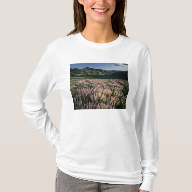 Jarbridge Wilderness and Mountains, Nevada, Spur T-Shirt (Vorderseite)