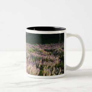 Jarbridge Wilderness und Berge, Nevada, Sporn Zweifarbige Tasse