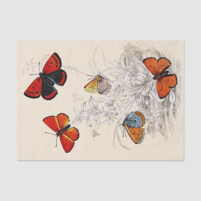 Jardin 10" de papillon X 15" papier de soie de (Recto)