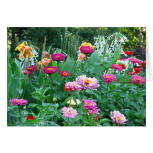 Jardin anglais floral