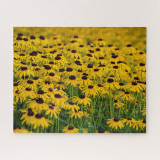 Jardin aux fleurs - 16x20 - 520 pcs Jigsaw Puzzle