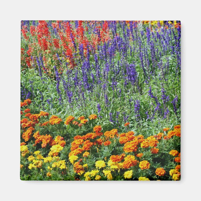 Jardin Beauté Fleur Magnet de photographie (Devant)