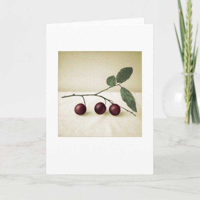 Jardin Cerisier Plums Photo Peinture Carte de voeu (Devant)