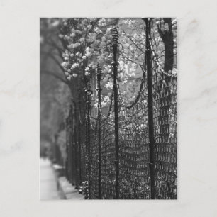 Jardin clôturé Carte postale