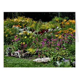 Jardin coloré du milieu de l'été
