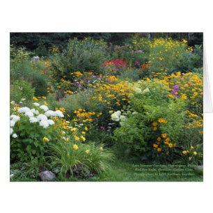 Jardin coloré fin été